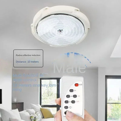 Solar-Powered LED Ceiling Light for Indoor and Outdoor Use | Auravolts
