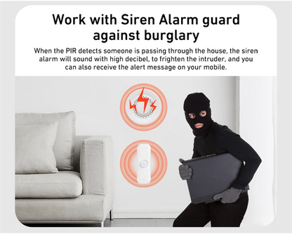 Tuya WiFi/Zigbee Motion Sensor Smart Home Security | Auravolts