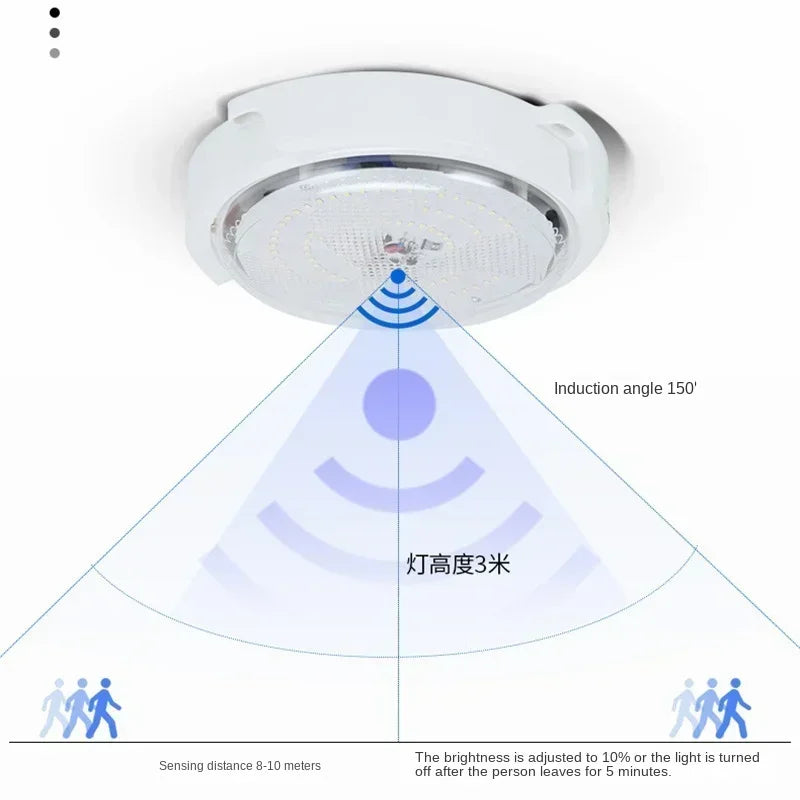 Solar-Powered LED Ceiling Light for Indoor and Outdoor Use | Auravolts