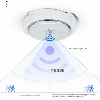 Solar-Powered LED Ceiling Light for Indoor and Outdoor Use | Auravolts