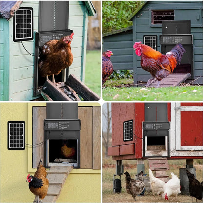 Automatic Chicken Coop Door Smart Poultry Protection | Auravolts