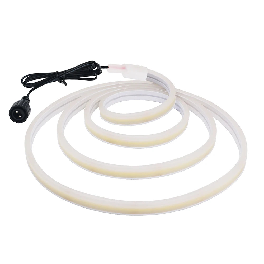 24V LED Neon Light Strip Solar Waterproof | Auravolts