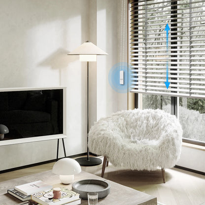 WiFi Electric Curtain Motor | Auravolts