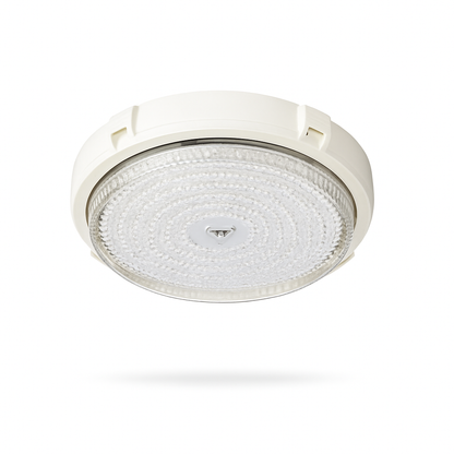 Solar-Powered LED Ceiling Light for Indoor and Outdoor Use | Auravolts